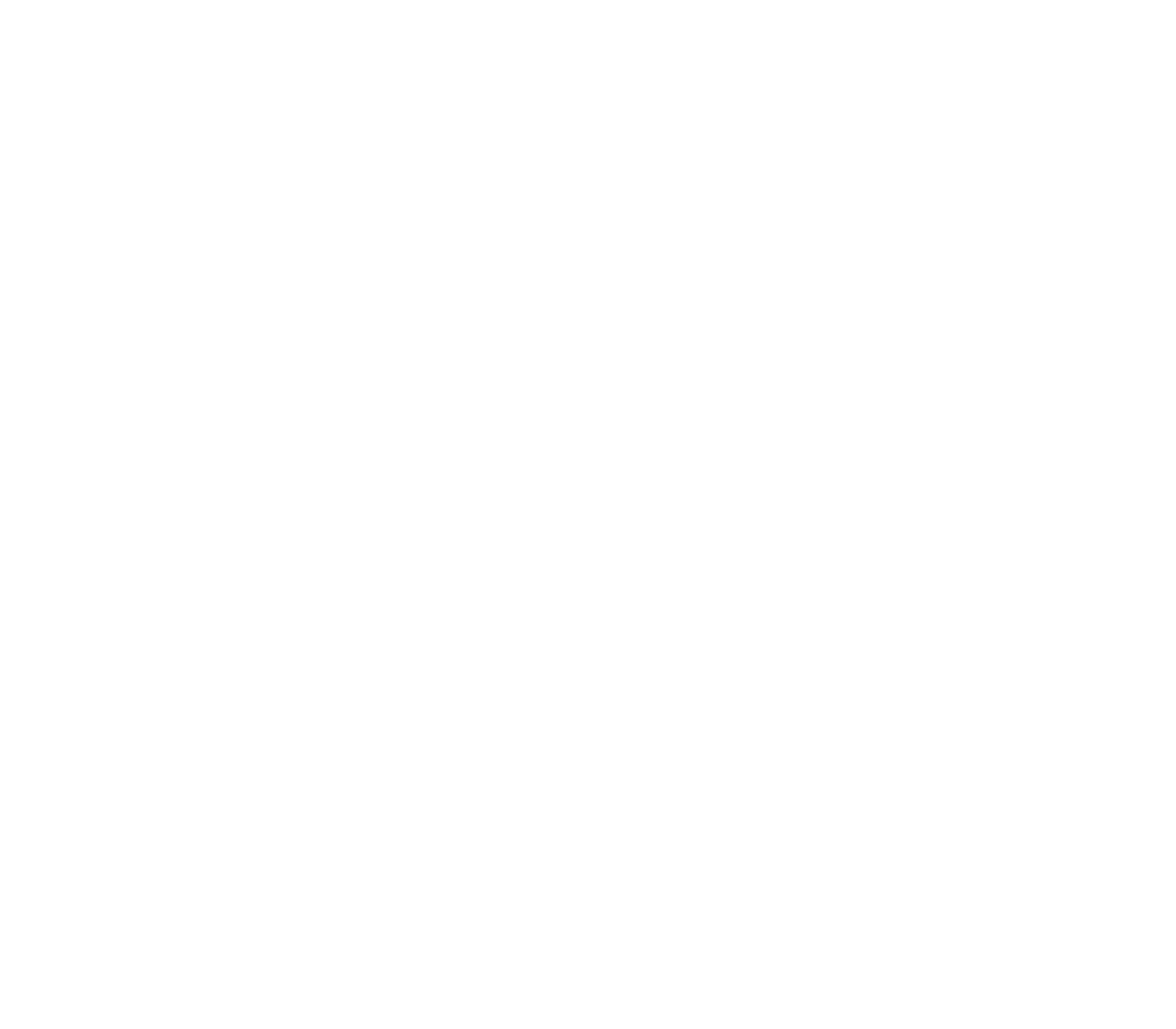 nextpixel logo